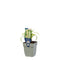 Griffioen - Liriope muscari 'Monroe White'