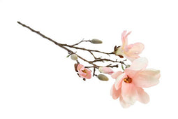 Countryfield - Magnolia Chayca M roze