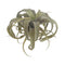 Buitengewoon de Boet - tillandsia 26 cm kunstplant