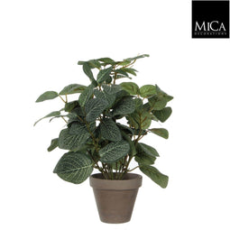 Mica Decorations-e - 6 stuks! Pilea groen in pot stan grijs d11,5 cm h35xd25 cm Mica Decorations (e)