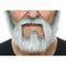 Valse baard My Other Me Grijs