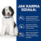 HILL'S Prescription Diet Digestive Urinary Care c/d - nat hondenvoer - 370g