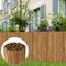 Scherm 500x100 cm bamboe