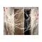 Spinneweb 100 g Halloween