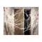 Spinneweb 100 g Halloween