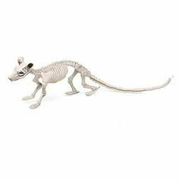 Halloween Decoraties Skelet Multicolour