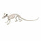 Halloween Decoraties Skelet Multicolour