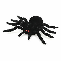 Spin Zwart 20 x 17 cm