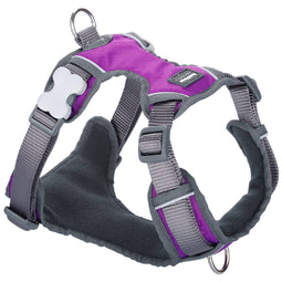 Hondentuigje Red Dingo Dingo 25-36 cm 31-43 cm Paars XS