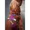 Hondentuigje Red Dingo Dingo 25-36 cm 31-43 cm Paars XS