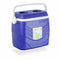 Draagbare harde koelbox Hidalgo Blauw 8 L 32 x 18 x 28 cm