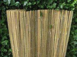 gespleten bamboemat op rol, 100 x 500 cm (h x b), blank