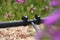 Hozelock - Slangclips dia. 13 mm