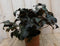 Warentuin Natuurlijk - 2 stuks! Heuchera Purperklokje donkerrood tot licht rood a zwart