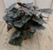 Warentuin Natuurlijk - 2 stuks! Heuchera Purperklokje grijs/rood tot licht rood