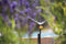 Hozelock - Micro verlengslang 24 cm dia. 4 mm