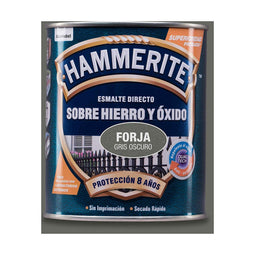 Lakken AkzoNobel 5093211 750 ml Topcoat Donker grijs Mat