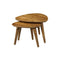 Homestylingshop Salontafels Sara - salontafel mangohout - bijzettafel