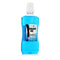 Mondwater Zidac Laboratories Absolute Ice 500 ml