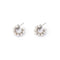 Oorbellen Dames Majorica 16461.01.2.000.010.1