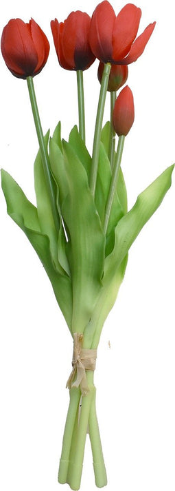 Driesprong Collection - Boeket 5 Tulpen Rood