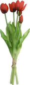 Driesprong Collection - Boeket 5 Tulpen Rood