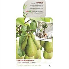 Fruithof - Pyrus communis dwergpeer fruitboom