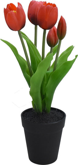 Driesprong Collection - Tulp in Pot 30,5cm Rood