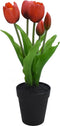 Driesprong Collection - Tulp in Pot 30,5cm Rood