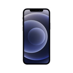 Apple iPhone 12 15,5 cm (6.1") Dual SIM iOS 14 5G 64 GB Zwart