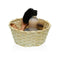 Mand Versa Zeealgen Cirkelvormig 10 cm Geel