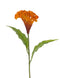 Driesprong Collection - Hanenkam 1 bloem h60 cm oranje kunstbloem zijde nepbloem