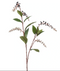 Emerald - Phytolacca spray dk purple 95 cm kunstbloem zijde nepbloem