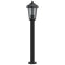 Vloerlamp voor buiten 80 cm roestvrijstaal zwart