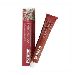 Permanente Kleur Color Creme Exitenn Nº 666 Red Ruby (60 ml)