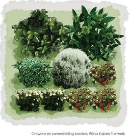 Vierkante Meter Borders - 1m2 Winterborder in kerstkleuren 4e