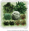 Vierkante Meter Borders - 1m2 Winterborder in kerstkleuren 4e