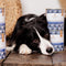 PERRO Gourmet Goat with sweet potatoes - nat hondenvoer - 800g