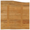 Tafelblad met natuurlijke rand 40x40x2,5 cm massief mangohout