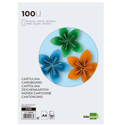 Fiches Liderpapel CT01 Multicolour (100 Stuks)