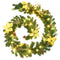 Kerstslinger met LED-lampjes 2,7 m PVC groen