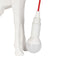 Bureaulamp Wit Rood Polyresin 60 W 220-240 V 24 x 9,5 x 29 cm