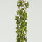 Countryfield - Eremurus kunststof 8x8x109 cm groen