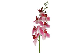 Countryfield - Phalaenopsis kunststof 8x8x83 cm roze