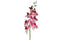 Countryfield - Phalaenopsis kunststof 8x8x83 cm roze