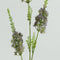 Countryfield - Eremurus kunststof 5x20x94 cm paars