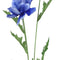 Countryfield - Anemone kunststof 20x15x77 cm blauw