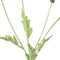 Countryfield - Cosmea kunststof 61x10x10 cm roze