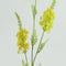 Countryfield - Eremurus kunststof 5x20x94 cm geel