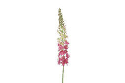 Countryfield - Eremurus kunststof 5x6x105 cm roze